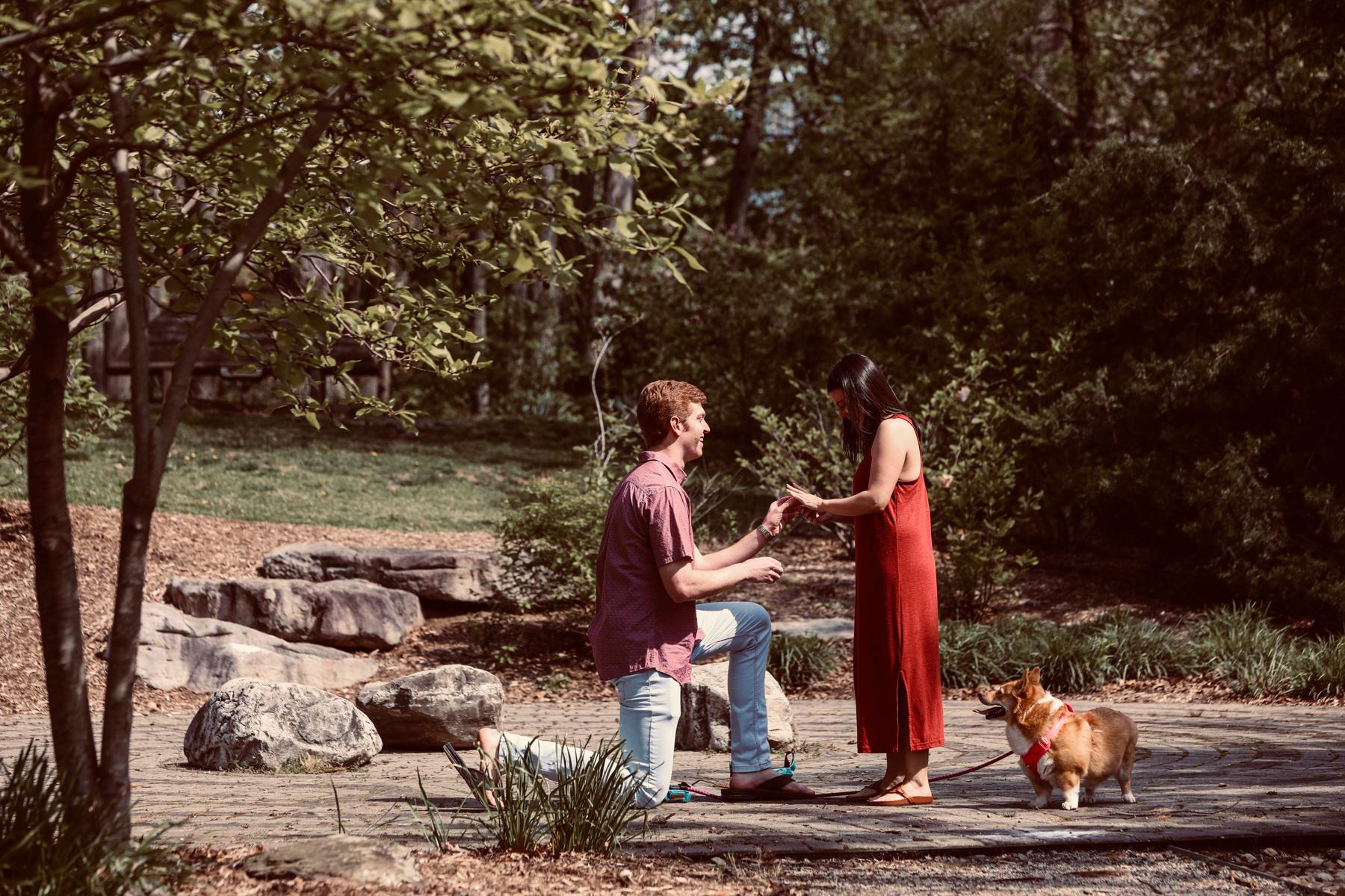Our engagement at a beautiful park following a dog walk with Georgie near our first apartment