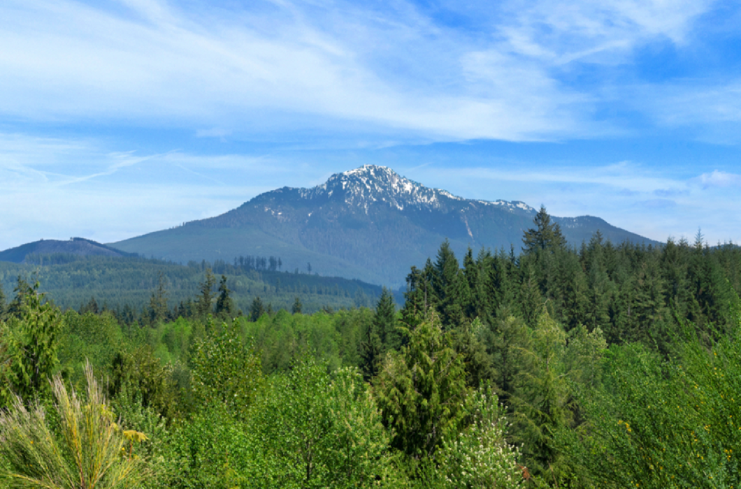 The Wedding Website of Carissa Nogales and Connor Lauerman