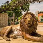 Lincoln Park Zoo
