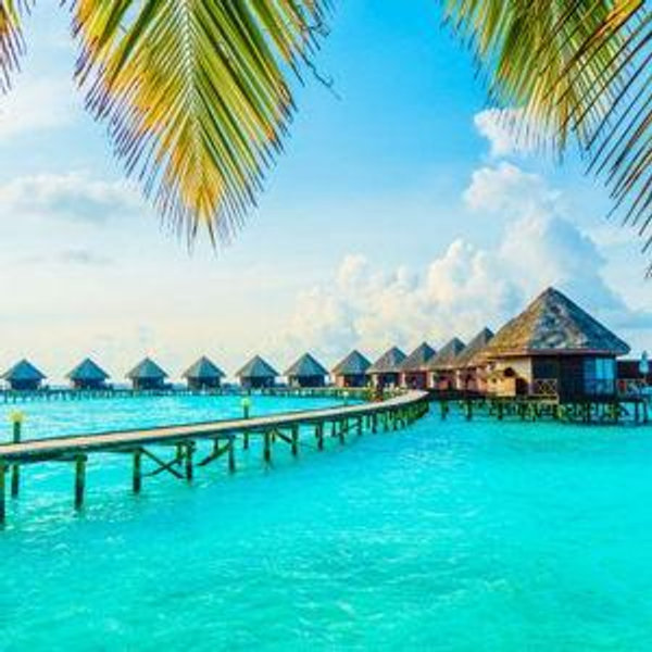 Our honeymoon fund