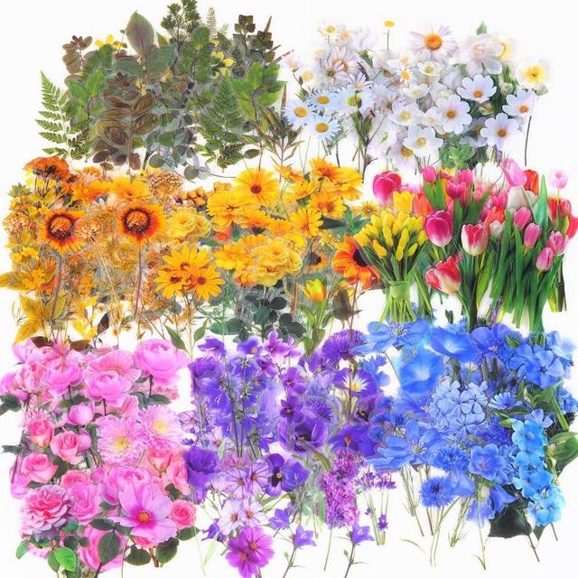 Lanfixilly Transparent Pressed Flower Stickers 320 PCS-Dried Resin Leaves- Floral Decorative Scrapbook for Supplies Art Craft Journal Planner Bottles Phone Cases Laptops Decors