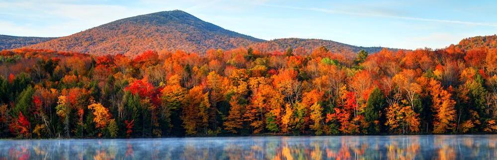 The Wedding Website of Tyler Rehor and Lynsey Schafer