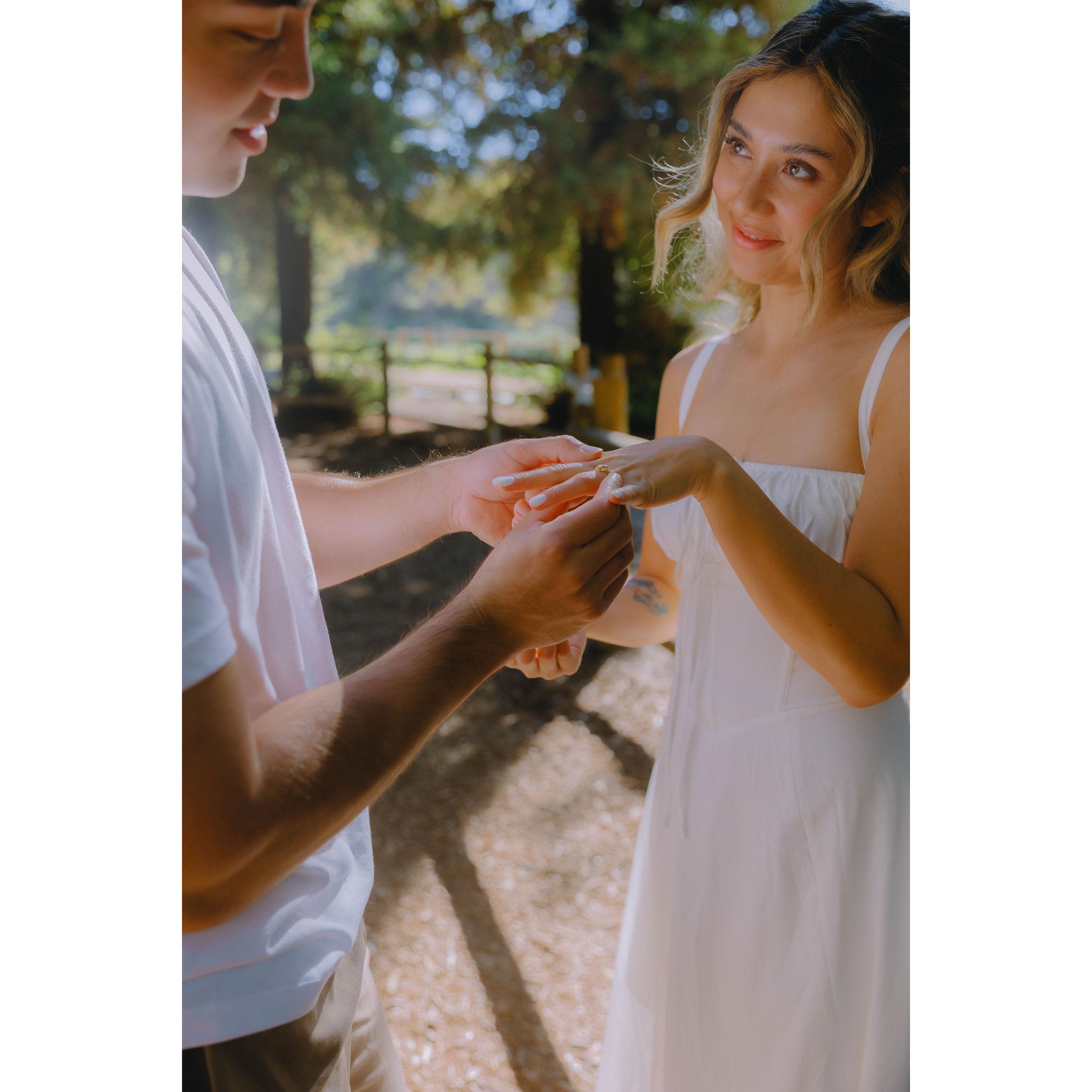Engagement Shoot