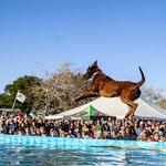 Southeastern Wildlife Exposition (SEWE)