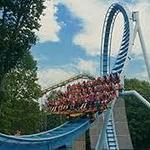 Busch Gardens Theme Park