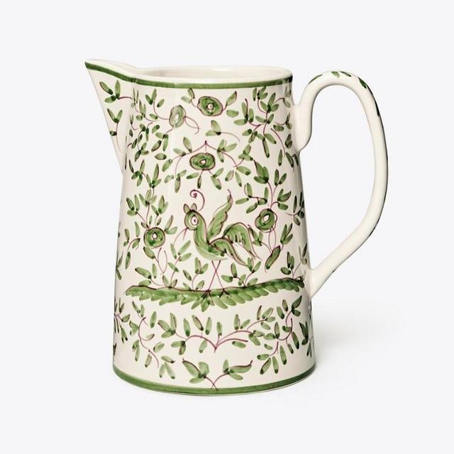 Oiseau Pitcher