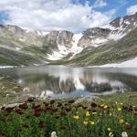 Mount Evans Welcome Station - Reservations Required