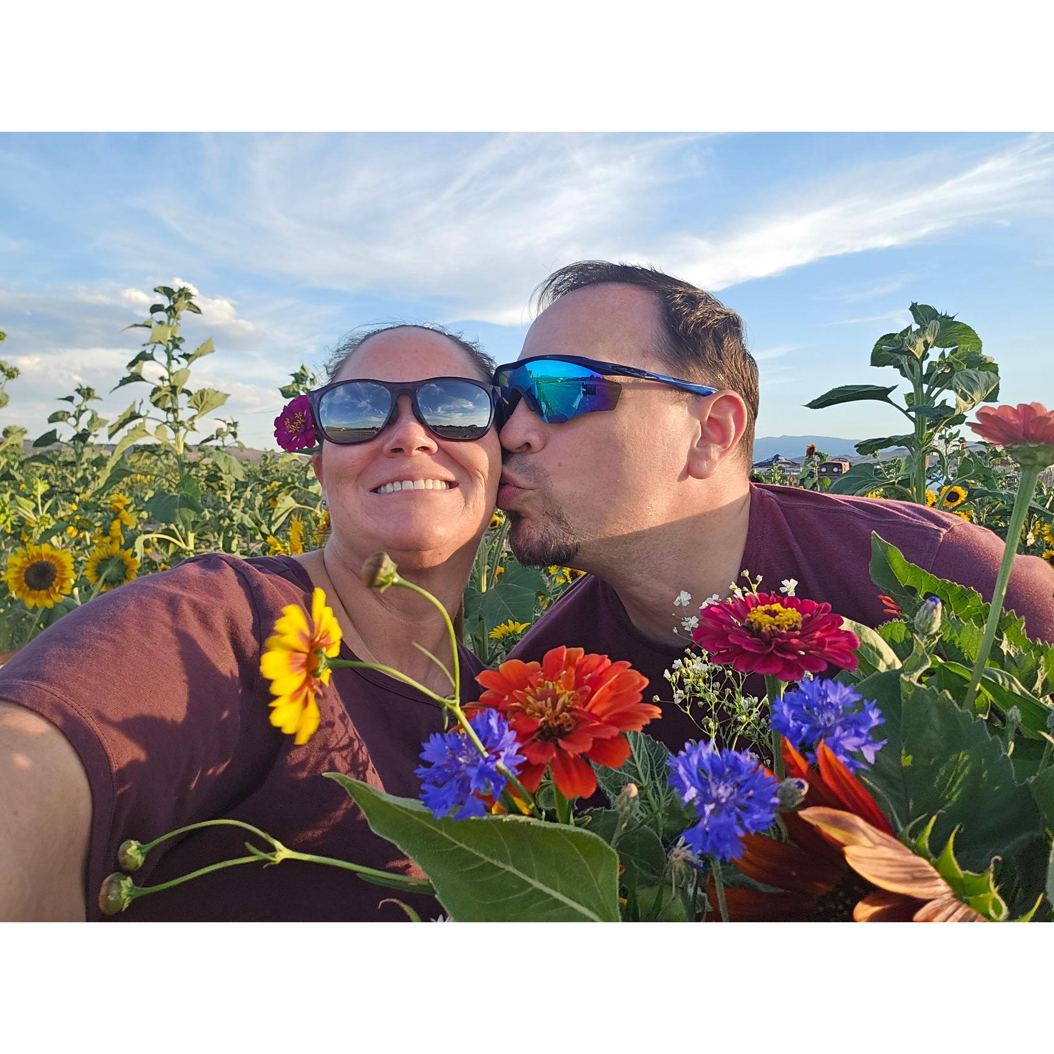 Sunflower Festival at our local farm - Aug 2025