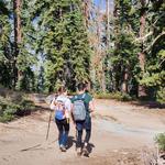 Trilha da Floresta da Tijuca