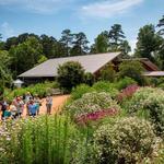 North Carolina Botanical Garden