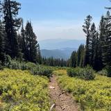 Montana Snowbowl