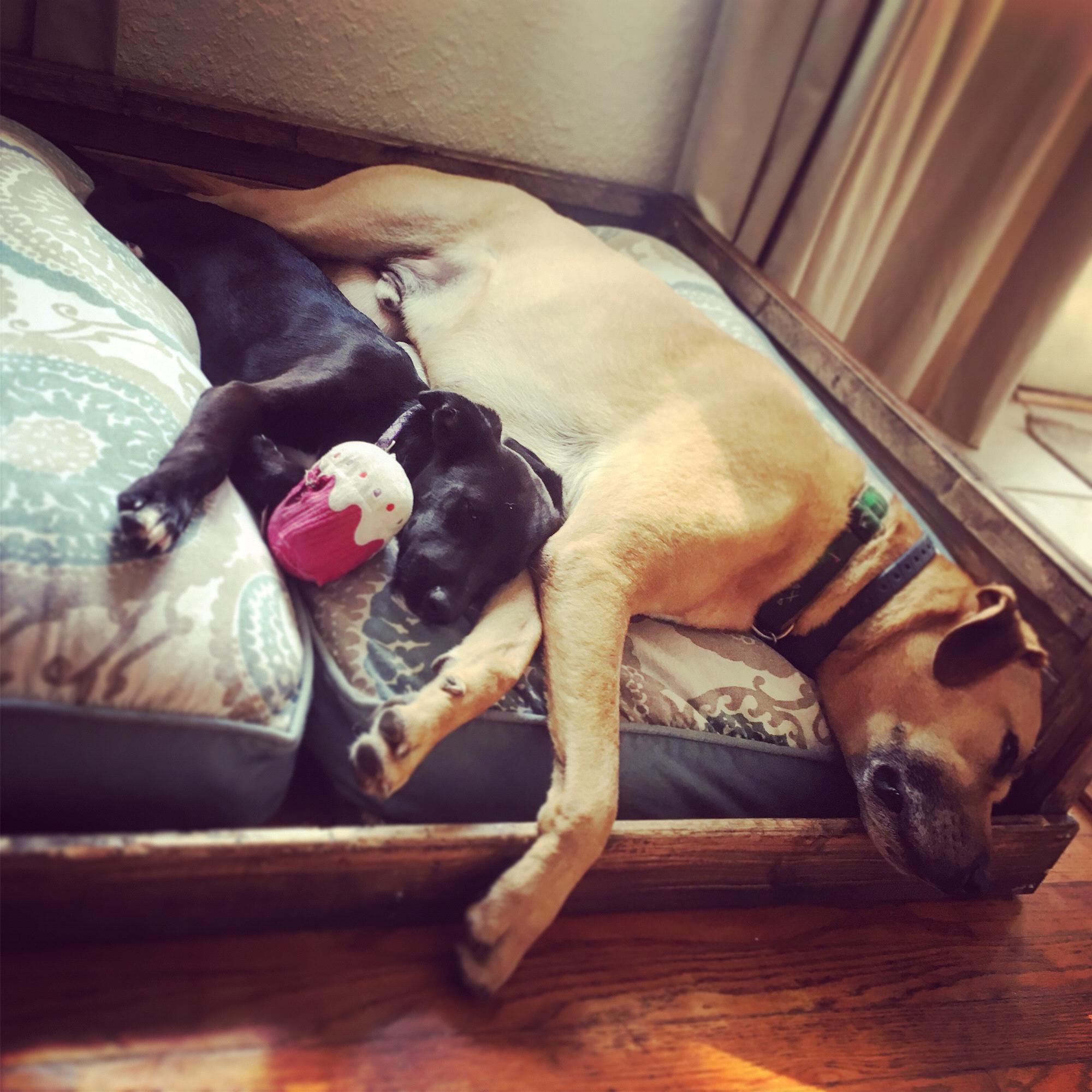 Tuck & Birdie