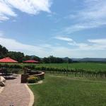 Elmaro Vineyard
