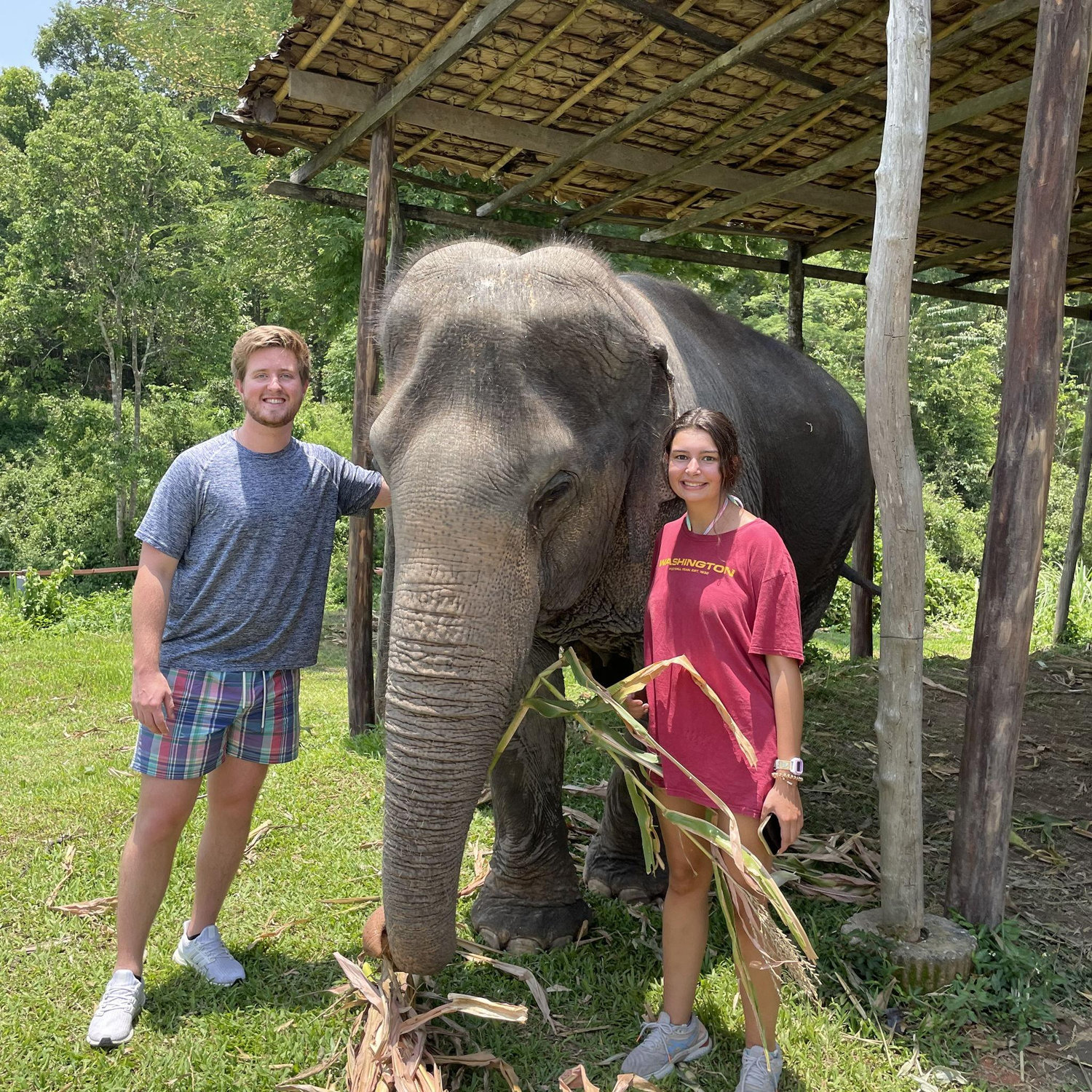 Maron took the Searcys to visit elephants in Chiang Mai