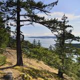 Mt Norman Hike and Viewpoint