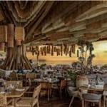 Ilios | Greek restaurant in Cabo