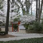 Red Wing Park