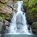 El Yunque National Forest