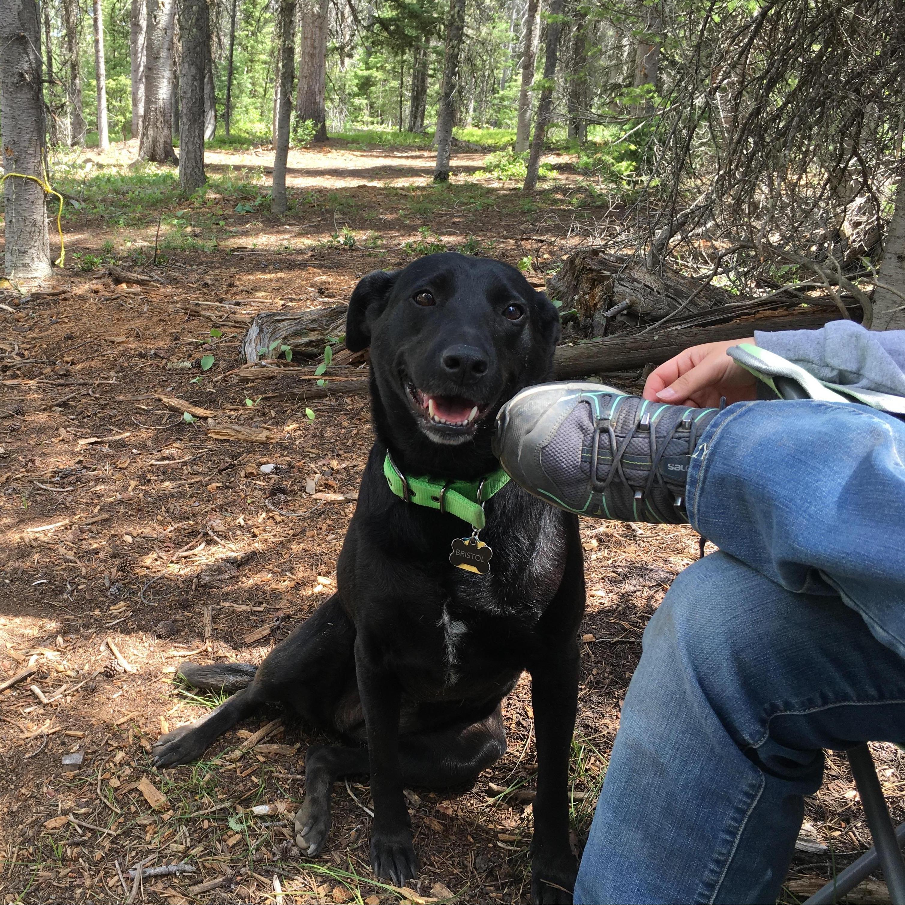 Bristol enjoying her camping trip