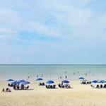 Local Beaches