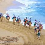 Camel Ride