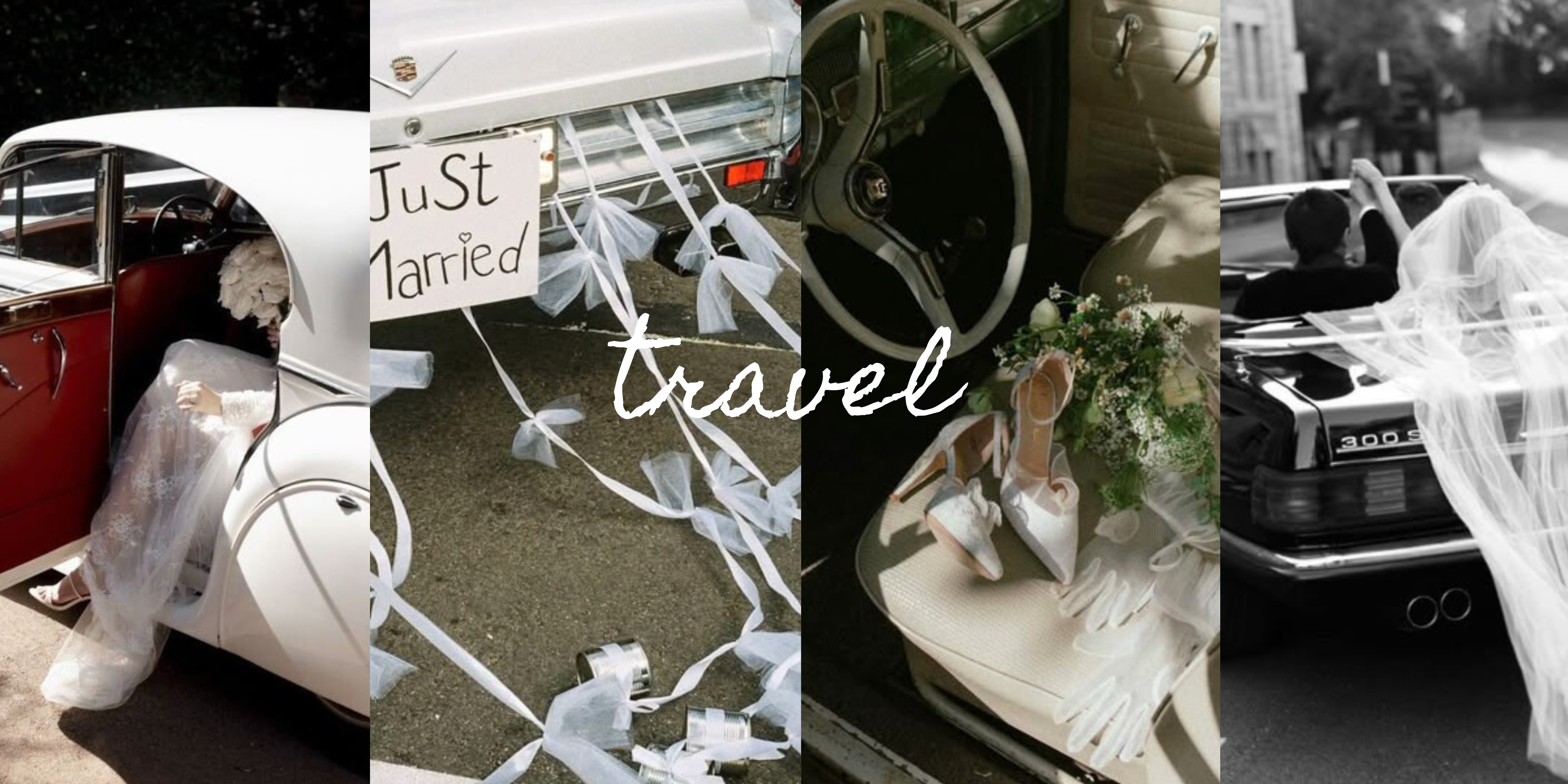 The Wedding Website of Andrew Scharkss and Raquel Shapiro