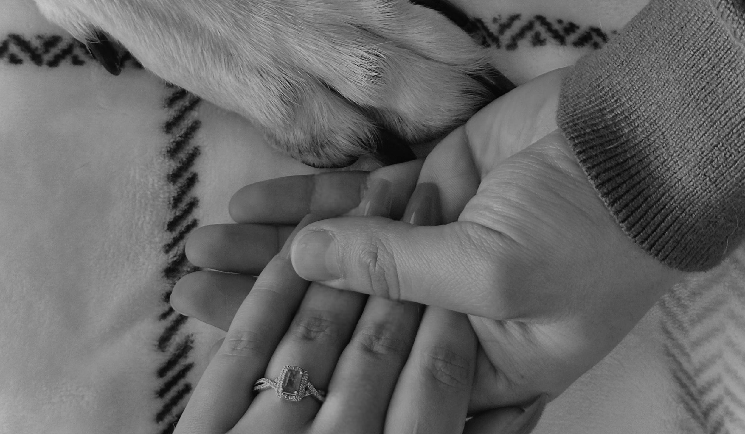 The Wedding Website of Bethany Tamayo and Gabriel Hernandez