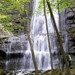 Hamilton is the Waterfall Capital of the World!