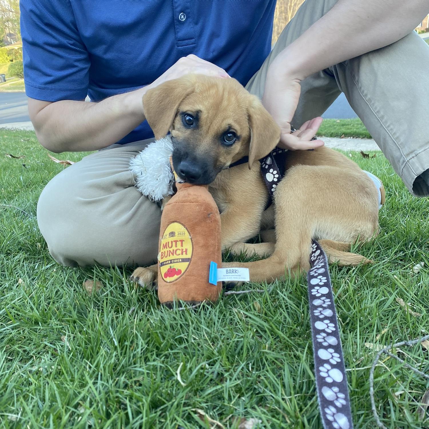Meeting Gibson for the first time
