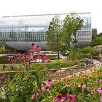 Myriad Botanical Gardens