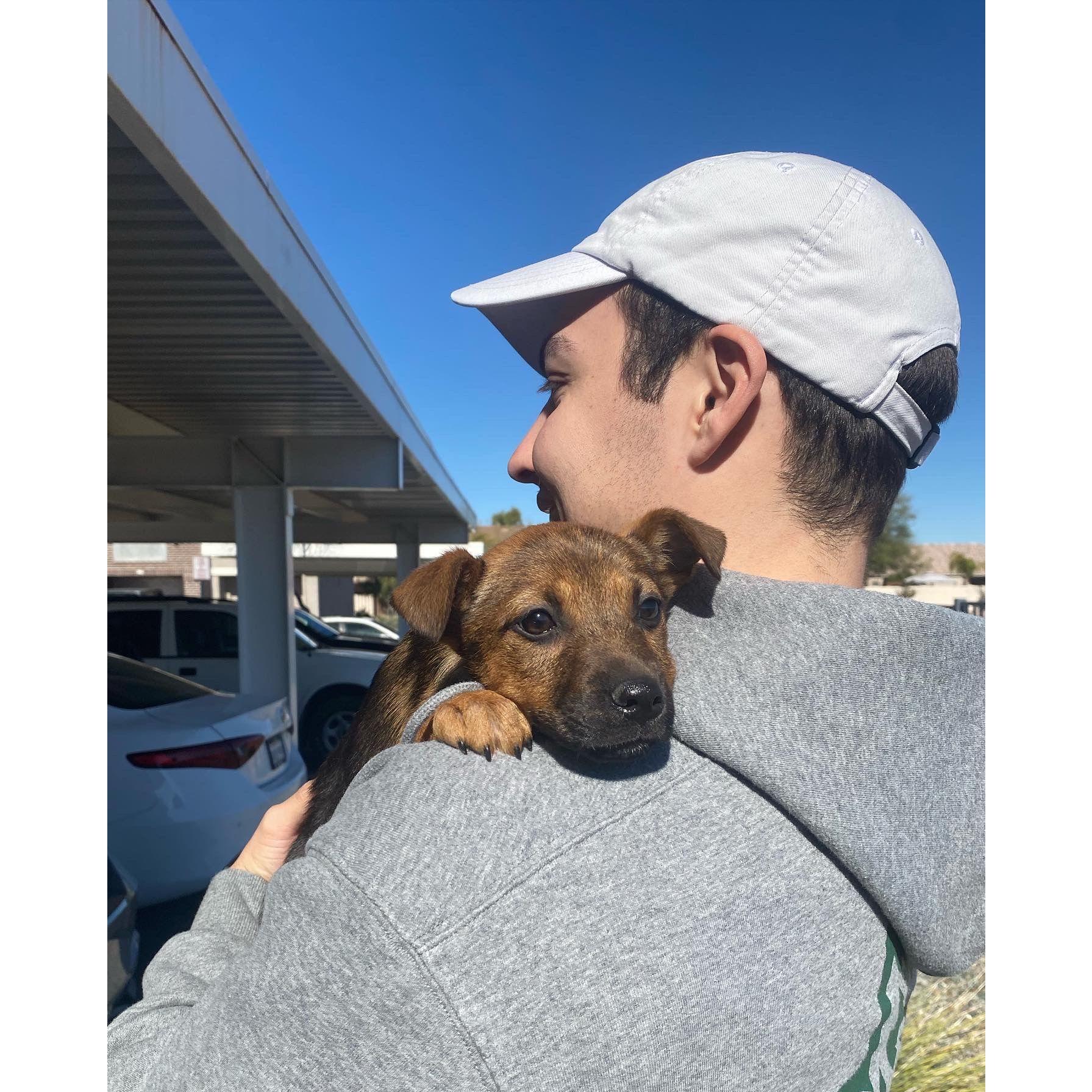 Becoming puppy parents on February 2nd, 2022.