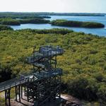 Weedon Island Preserve