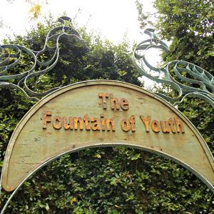 Fountain of Youth
