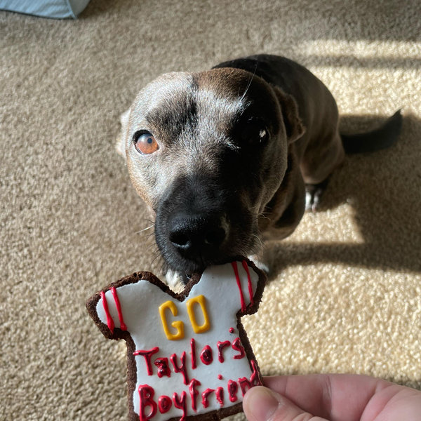 Billy's Yearly Supply Of Pet Treats
