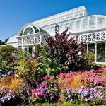 Volunteer Park