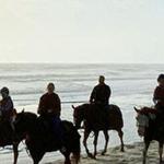 Amelia Island Horseback Riding