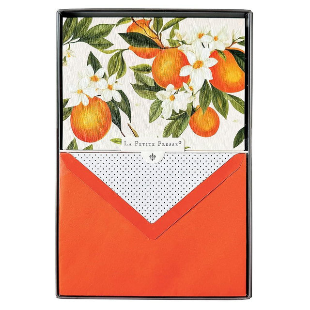 Graphique L’Orange Designer Cards Luxe Collection, Silver Foil Embossed Stationery Boxed Set, 10 Blank Cards with 11 Envelopes, All Occasion Greetings, 5.25" x 3.8"