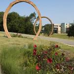 North Carolina Museum of Art