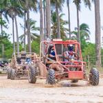 Buggy Tours