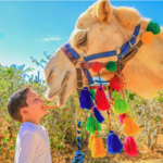 Camel Baja Outback Adventure