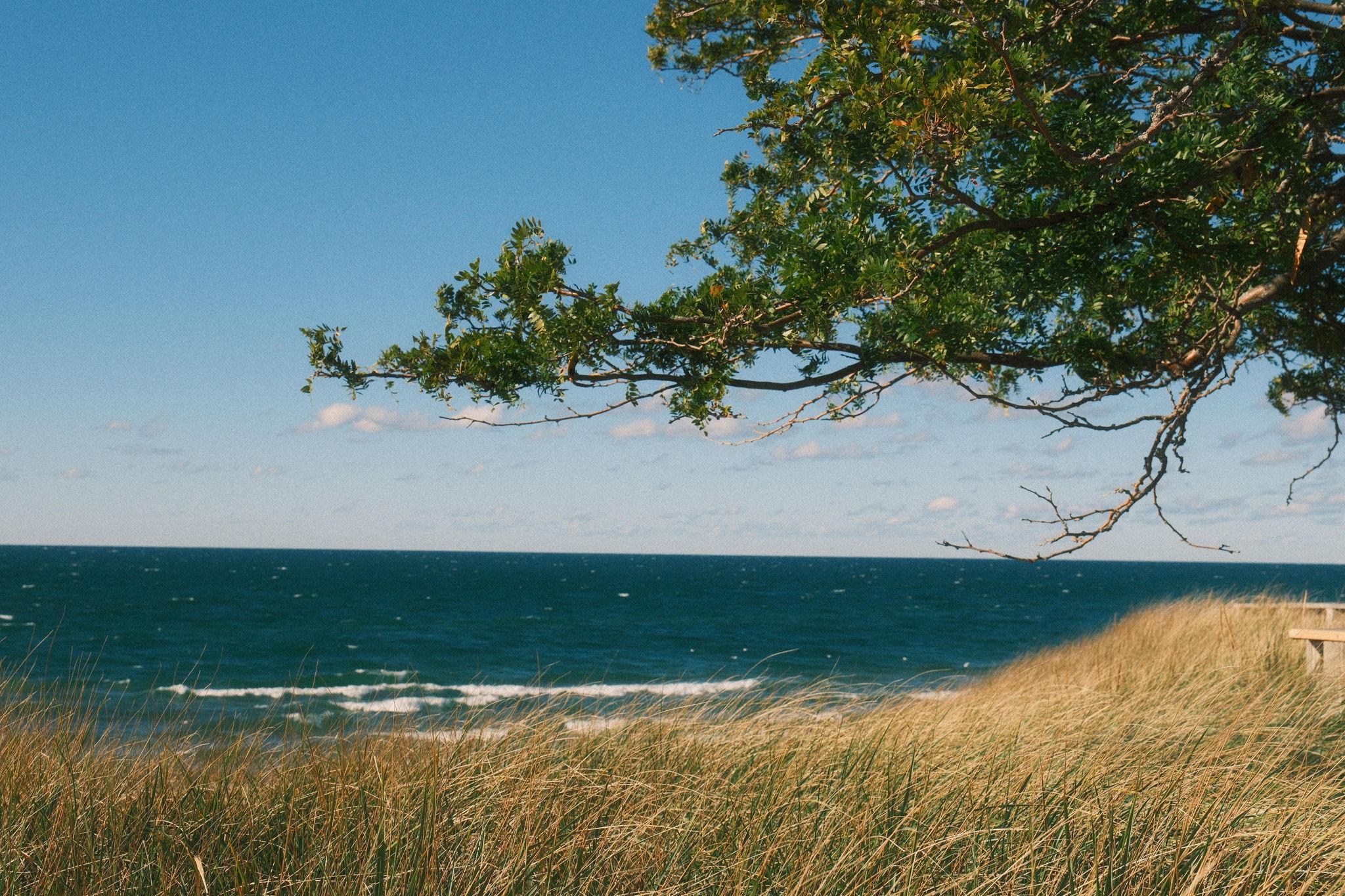 The Wedding Website of McKenna Pierson and David Chung