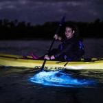 Bioluminescent Bay Kayaking