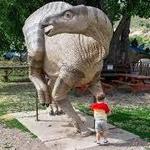 Dinosaur Ridge