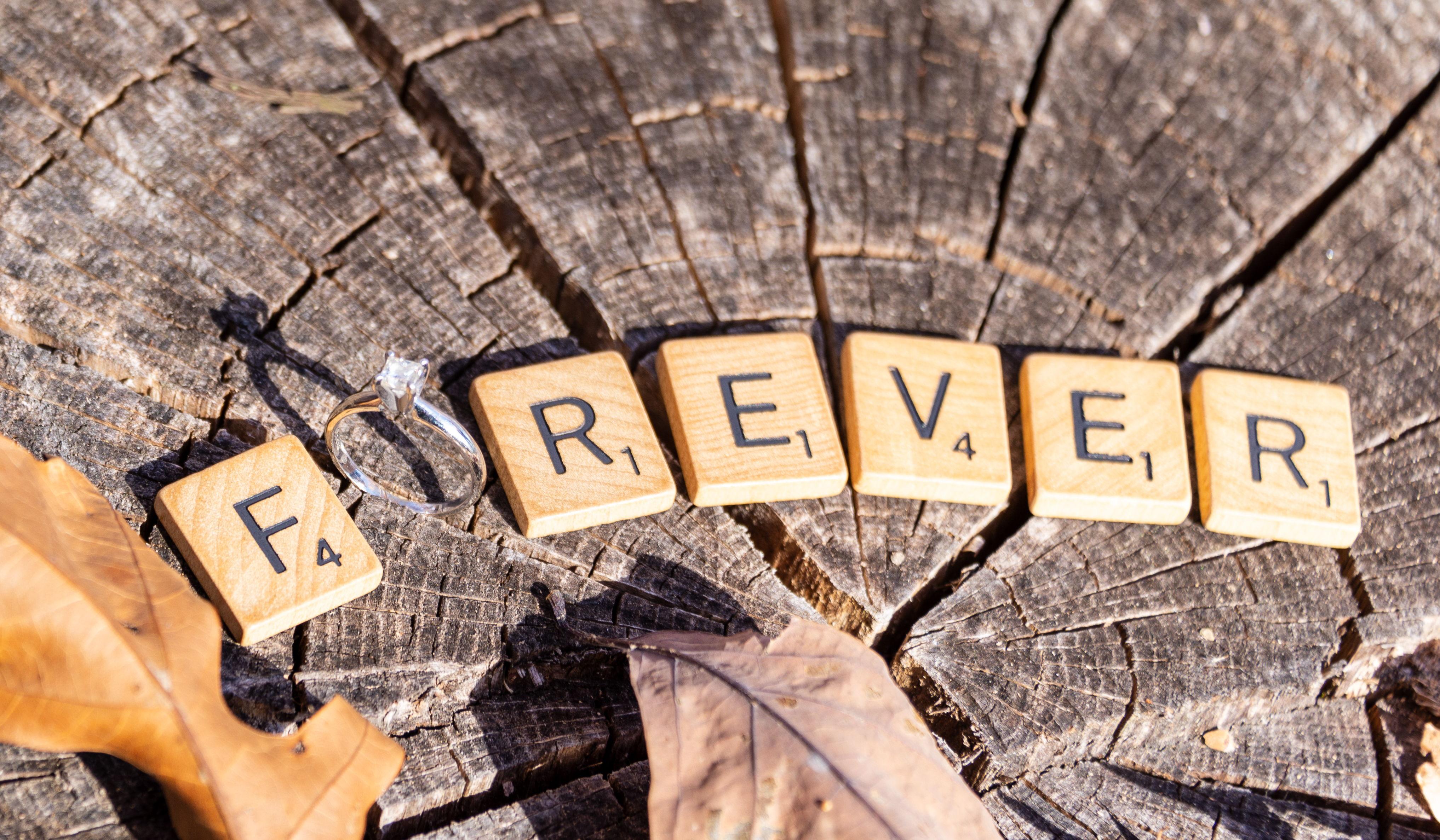 Hero Slideshow Image 0