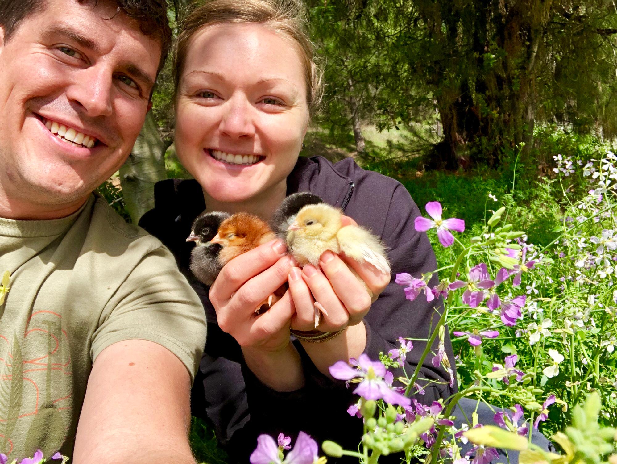 Our first pets!!!  The cutest little chicks!!!