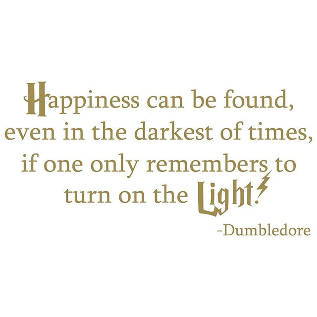 46"x24" Happiness can be Found Even in The Darkest of Times if one only Remembers to Turn on The Light DumbledoreWall Decal Sticker Color Choices Wall Decal Sticker Art Mural Home Décor Quote