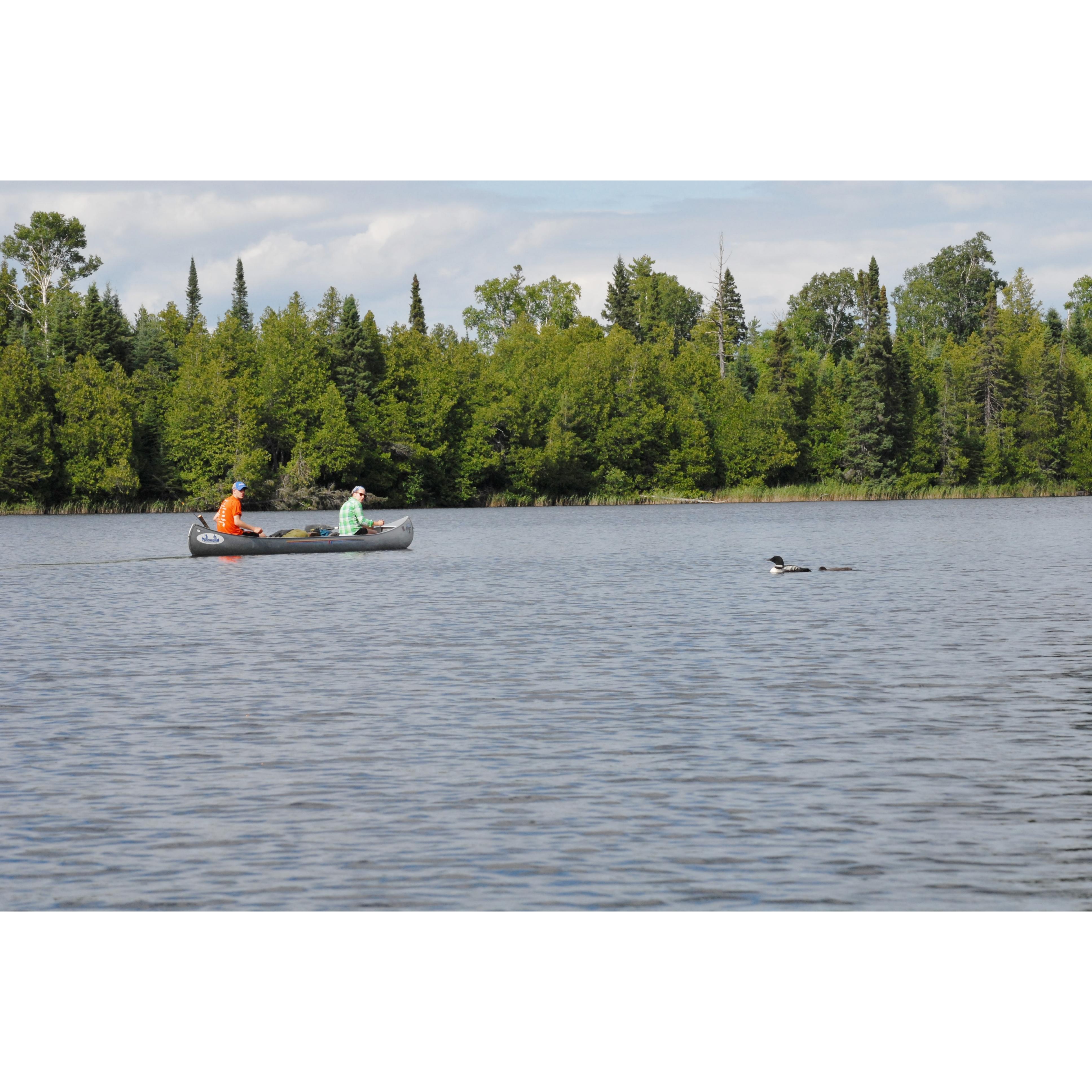 Boundary Waters canoe trip - July 2016
