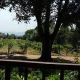 The Winery At Holy Cross Abbey