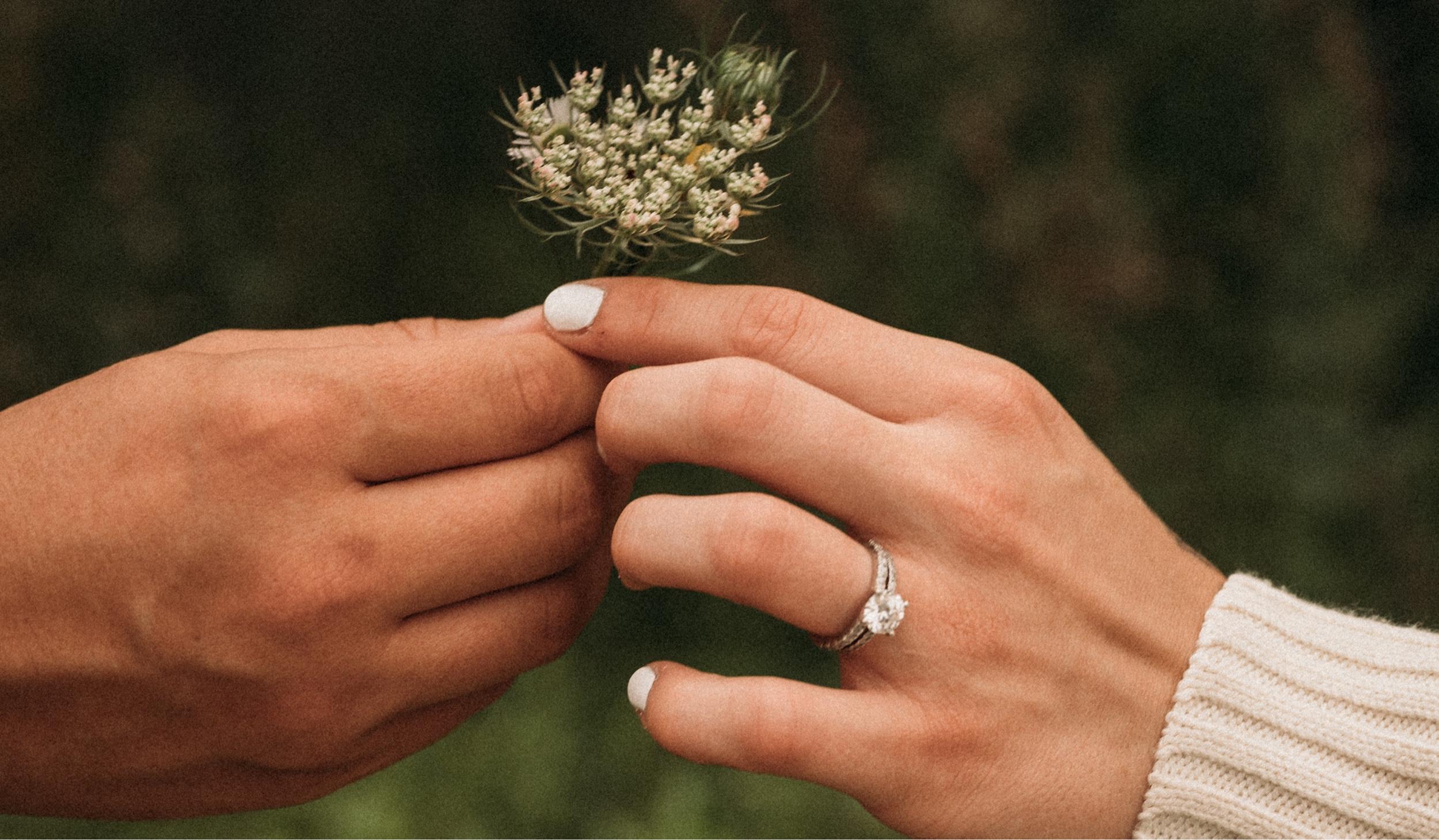 The Wedding Website of Amanda Kozloski and Ethan Adams