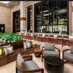 Coralino Bar